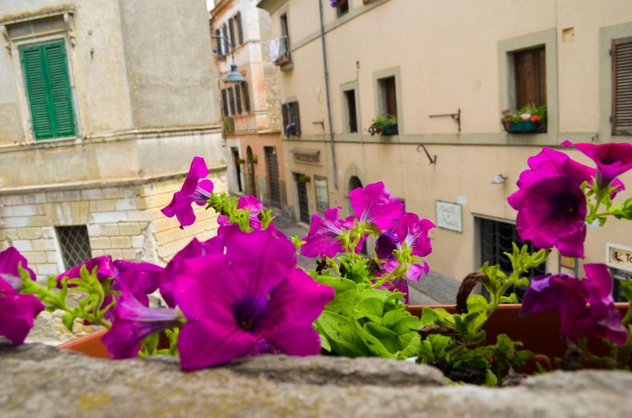 B&B Chiostro San Marco タルクイーニア エクステリア 写真